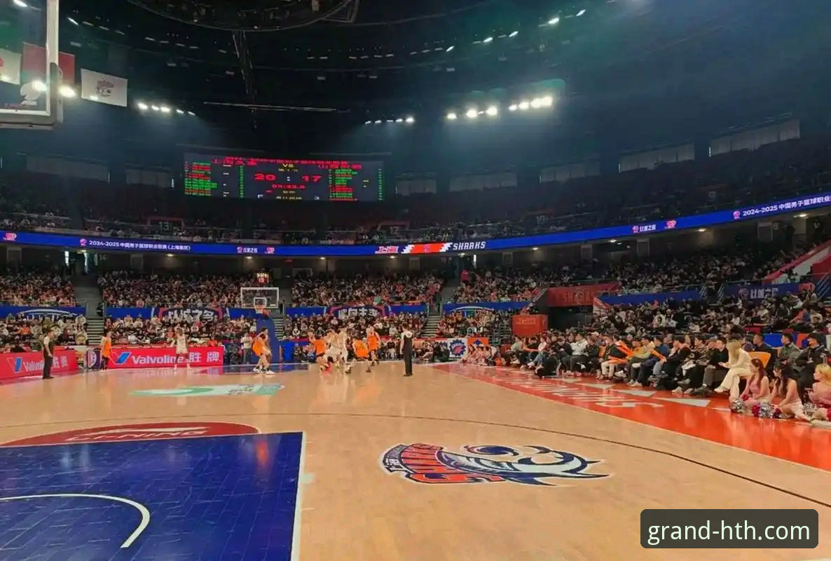 3个关键数据，解读上海男篮12连胜背后的统治力